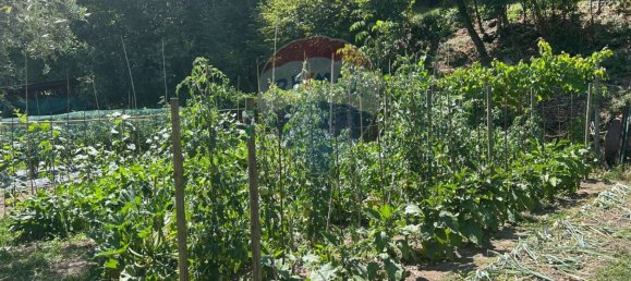 24000m² Land in Soiano del Lago, Italy No. 346101 7