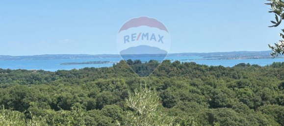 24000m² Land in Soiano del Lago, Italy No. 346101 17