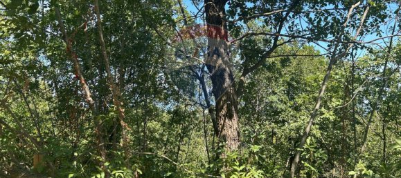 24000m² Land in Soiano del Lago, Italy No. 346101 21