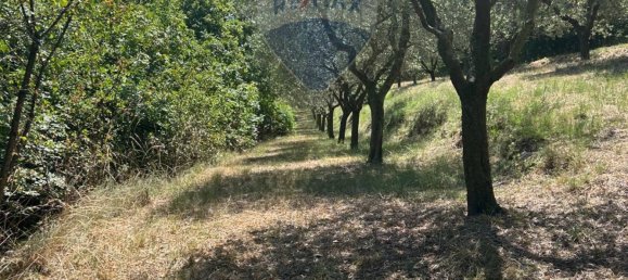 24000m² Land in Soiano del Lago, Italy No. 346101 12