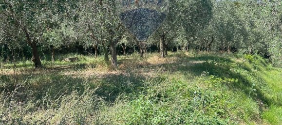 24000m² Land in Soiano del Lago, Italy No. 346101 19