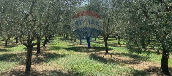 24000m² Land in Soiano del Lago, Italy No. 346101 2