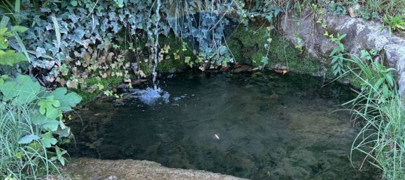 24000m² Land in Soiano del Lago, Italy No. 346101 23