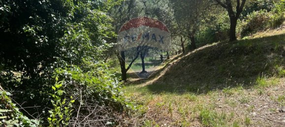 24000m² Land in Soiano del Lago, Italy No. 346101 4
