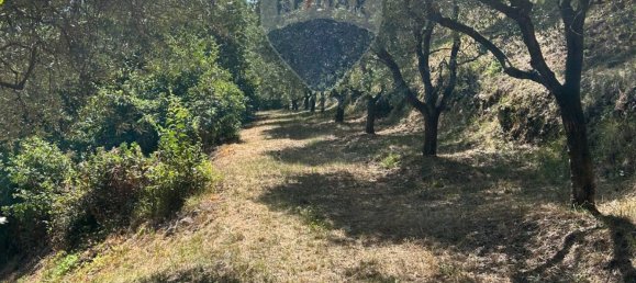 24000m² Land in Soiano del Lago, Italy No. 346101 11