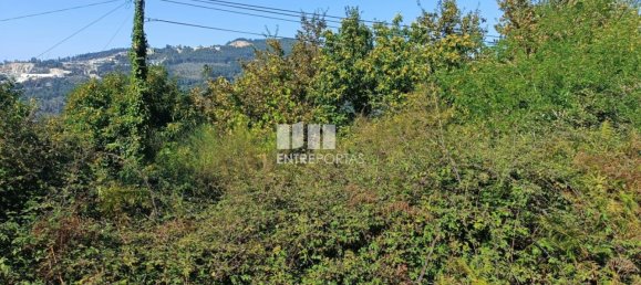 Grundstück in Espadanedo, Portugal 3400m², Nr. 50195 5