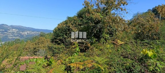 Grundstück in Espadanedo, Portugal 3400m², Nr. 50195 9