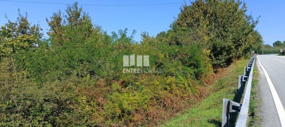 Grundstück in Espadanedo, Portugal 3400m², Nr. 50195 8