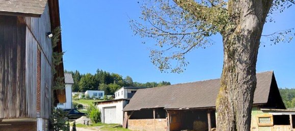  عقار تجاري في Voitsberg, Austria 400متر مربع رقم 131281 20