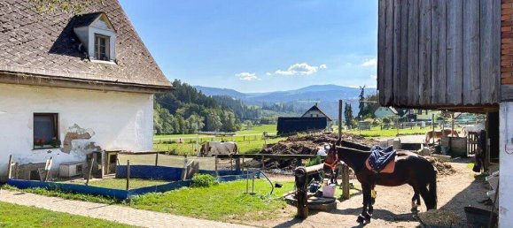  عقار تجاري في Voitsberg, Austria 400متر مربع رقم 131281 21
