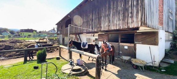  عقار تجاري في Voitsberg, Austria 400متر مربع رقم 131281 22