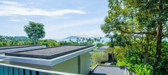 4 bedrooms Cafe / restaurant in Phuket, Thailand No. 7525 8