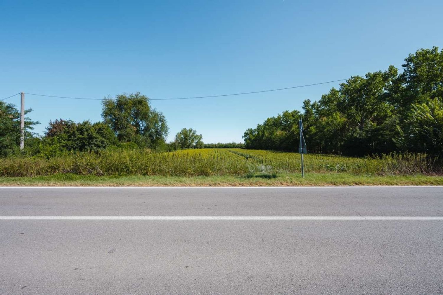 7 bedrooms House in Crevalcore, Italy No. 347709