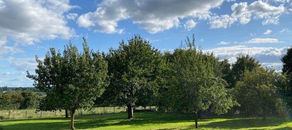 4 غرف نوم منزل في Trizay-Coutretot-Saint-Serge, France رقم 238356 3