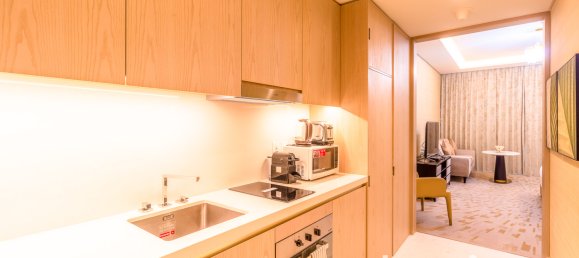 Studio in Palm Jumeirah, UAE, Nr. 94245 5