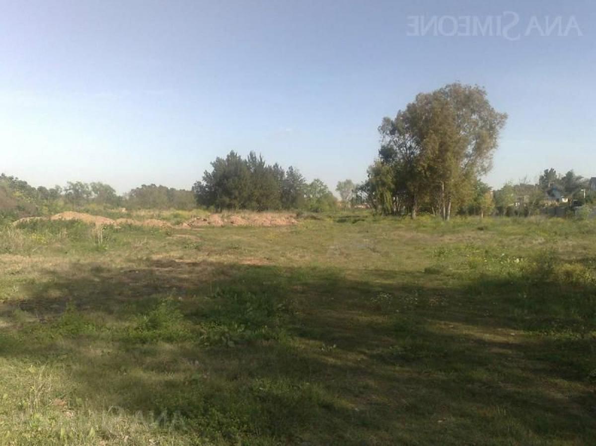  Land in Tigre, Argentina No. 45788