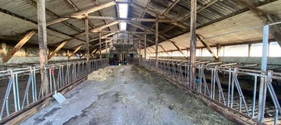 2 Schlafzimmer Haus in Rotenburg, Germany, Nr. 204987 7