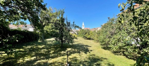 Estudio en Rust, Austria No. 190909 4