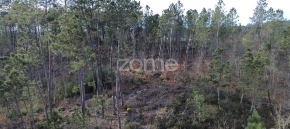 Земельный участок 1376м² в Калди, Португалия № 91222 2