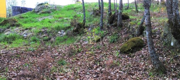 Земельный участок 1376м² в Калди, Португалия № 91222 5