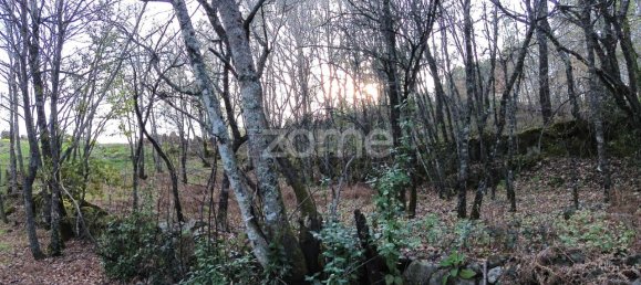 Земельный участок 1376м² в Калди, Португалия № 91222 9