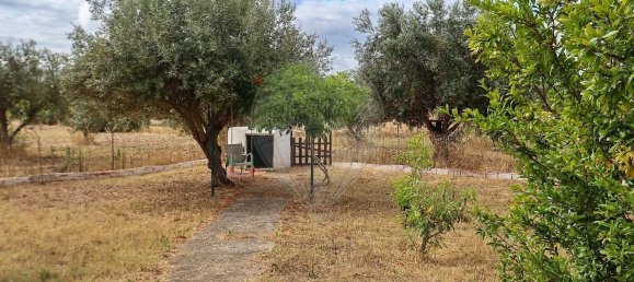 2 bedrooms House in Vale de Santiago, Portugal No. 327584 27