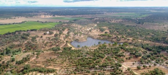 2 bedrooms House in Vale de Santiago, Portugal No. 327584 29