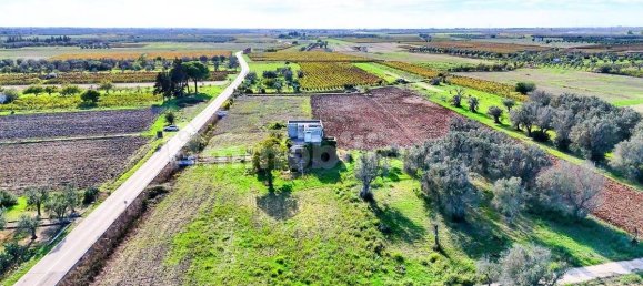 5-Zimmer Haus in Campi Salentina, Italy, Nr. 152801 3