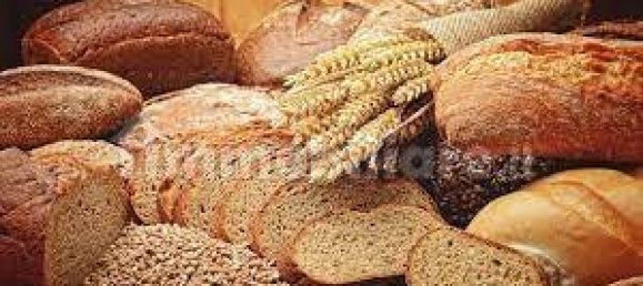 Propiedad comercial de 3 habitaciónes en Livorno, Italy No. 308215 6