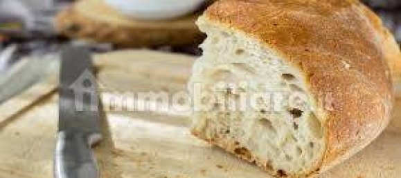 Propiedad comercial de 3 habitaciónes en Livorno, Italy No. 308215 2