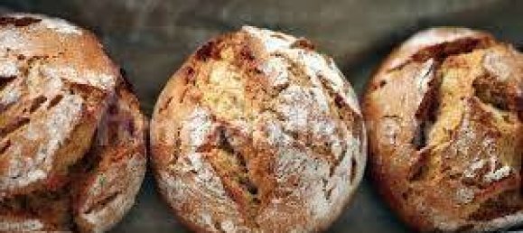 Propiedad comercial de 3 habitaciónes en Livorno, Italy No. 308215 13