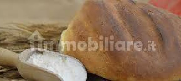 Propiedad comercial de 3 habitaciónes en Livorno, Italy No. 308215 3