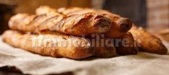 Propiedad comercial de 3 habitaciónes en Livorno, Italy No. 308215 7