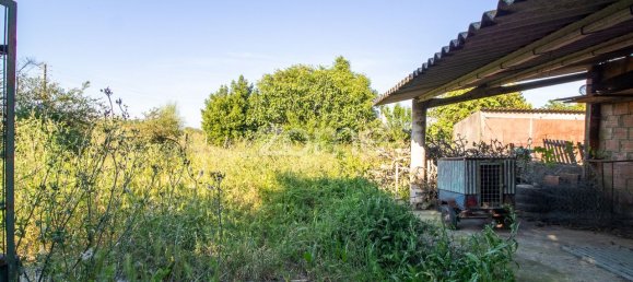 5 bedrooms House in Oliveirinha, Portugal No. 84631 38