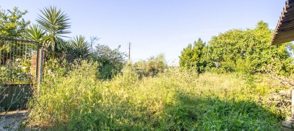 5 bedrooms House in Oliveirinha, Portugal No. 84631 39