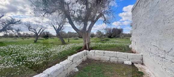 Estudio en Carovigno, Italy No. 18266 7