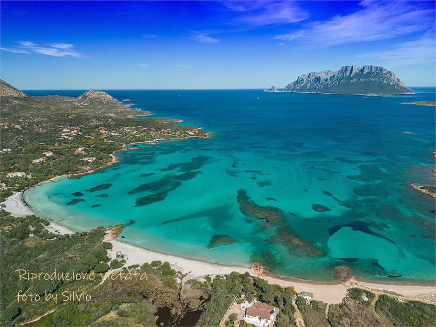 3 bedrooms Villa in Olbia, Italy No. 49987