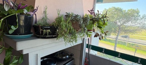 4-salle Appartement à Cervia, Italy No. 285212 21