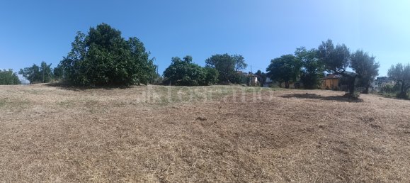 Grundstück in Spoltore, Italy 12000m², Nr. 311322 22