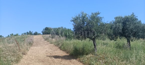 Grundstück in Spoltore, Italy 12000m², Nr. 311322 28