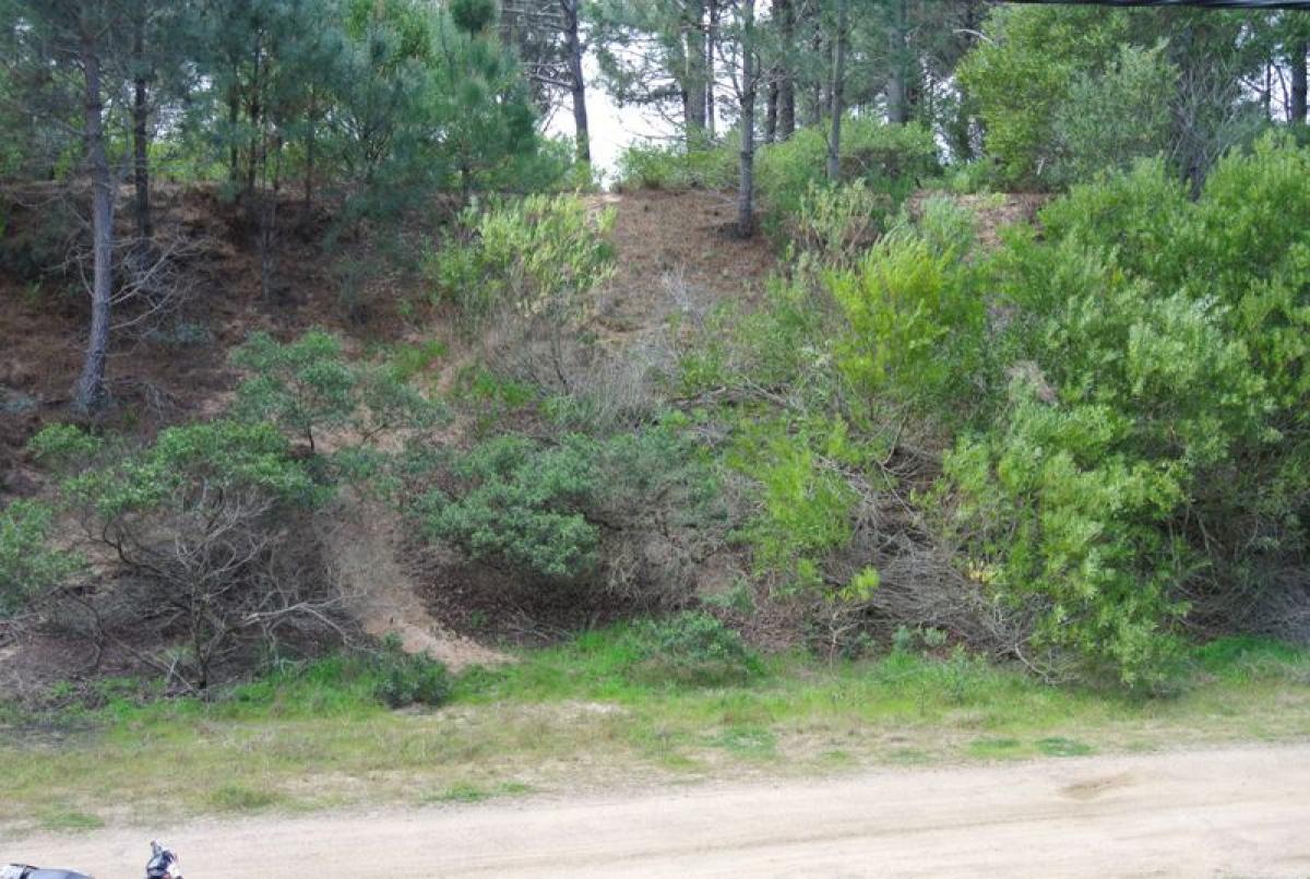 Земельный участок в Мальдонадо, Уругвай № 14522