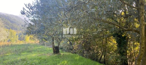 1260m² Land in Sao Cristovao de Nogueira, Portugal No. 55612 18