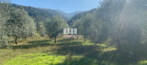 1260m² Land in Sao Cristovao de Nogueira, Portugal No. 55612 8