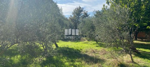 1260m² Land in Sao Cristovao de Nogueira, Portugal No. 55612 22