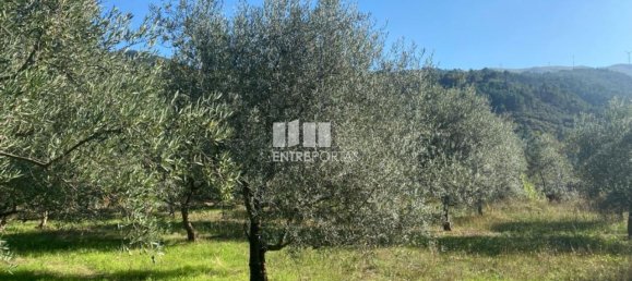 1260m² Land in Sao Cristovao de Nogueira, Portugal No. 55612 4