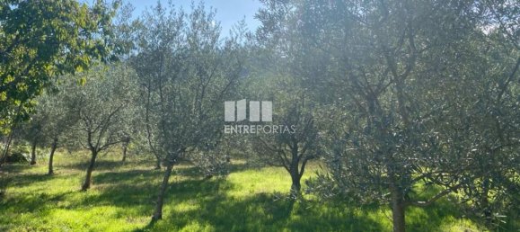 1260m² Land in Sao Cristovao de Nogueira, Portugal No. 55612 24