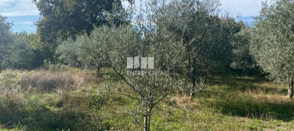 1260m² Land in Sao Cristovao de Nogueira, Portugal No. 55612 12