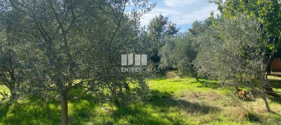 1260m² Land in Sao Cristovao de Nogueira, Portugal No. 55612 27