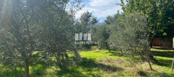 1260m² Land in Sao Cristovao de Nogueira, Portugal No. 55612 25