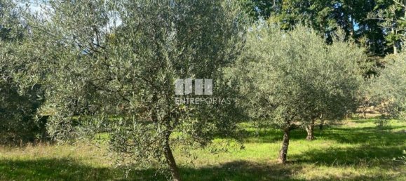 1260m² Land in Sao Cristovao de Nogueira, Portugal No. 55612 15